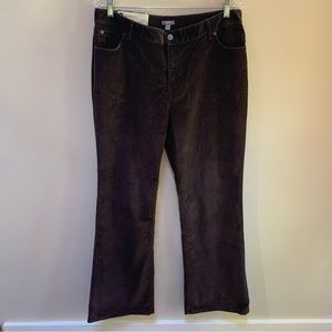 J Jill ~new ~ Corduroy Authentic Fit Bootcut Pants in Java